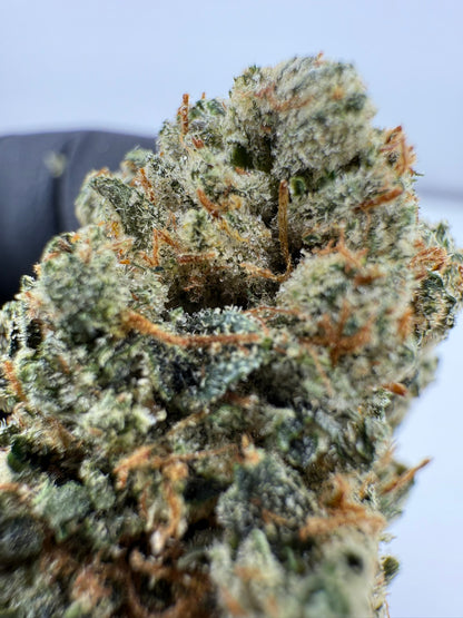 Marathon OG - Damn Good | Legal Cannabis