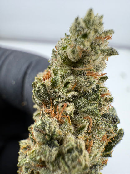 Banana Cream - Damn Good | Legal Cannabis