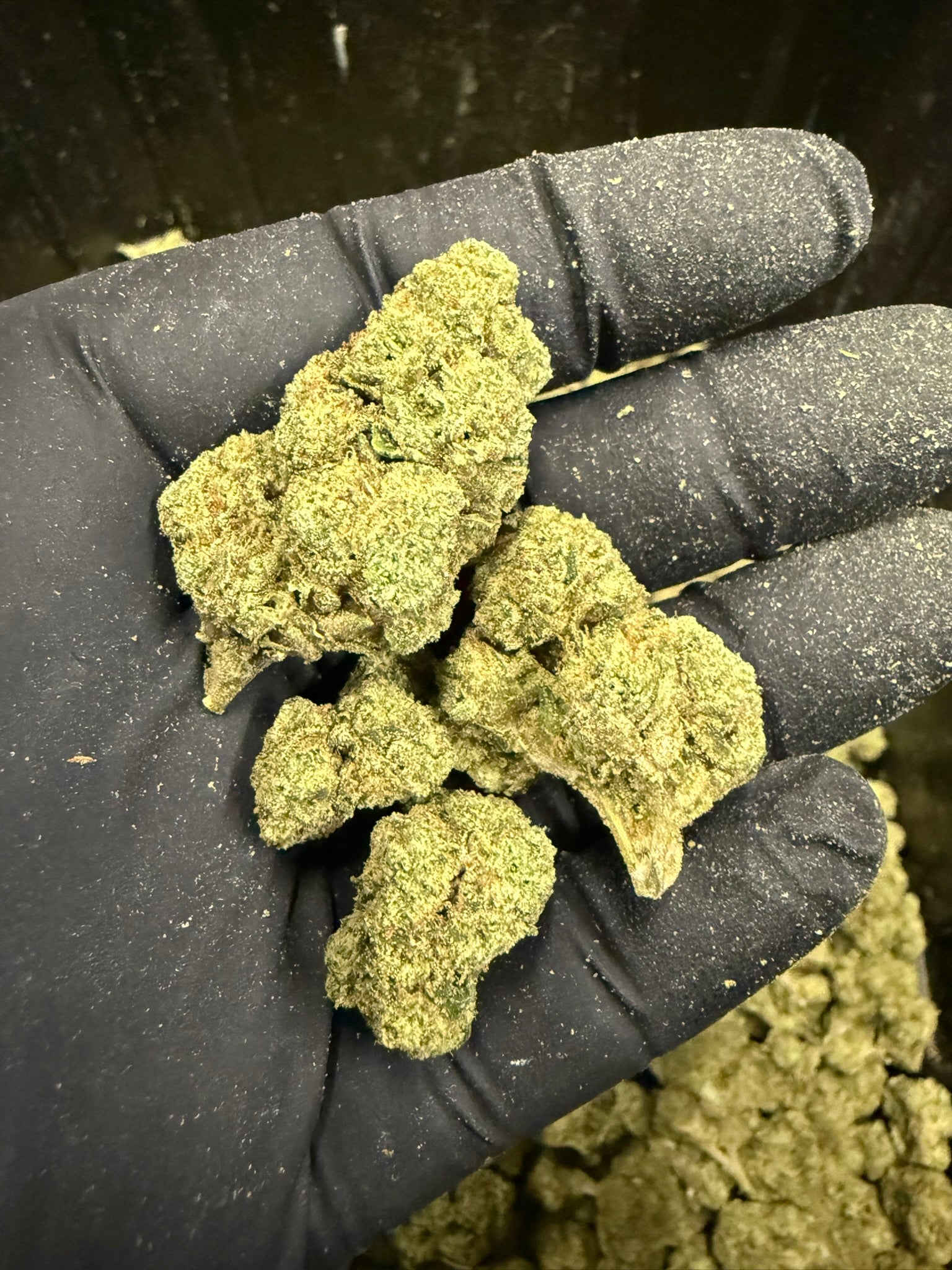 Lemon Cherry Runtz Smalls - Damn Good | Legal Cannabis