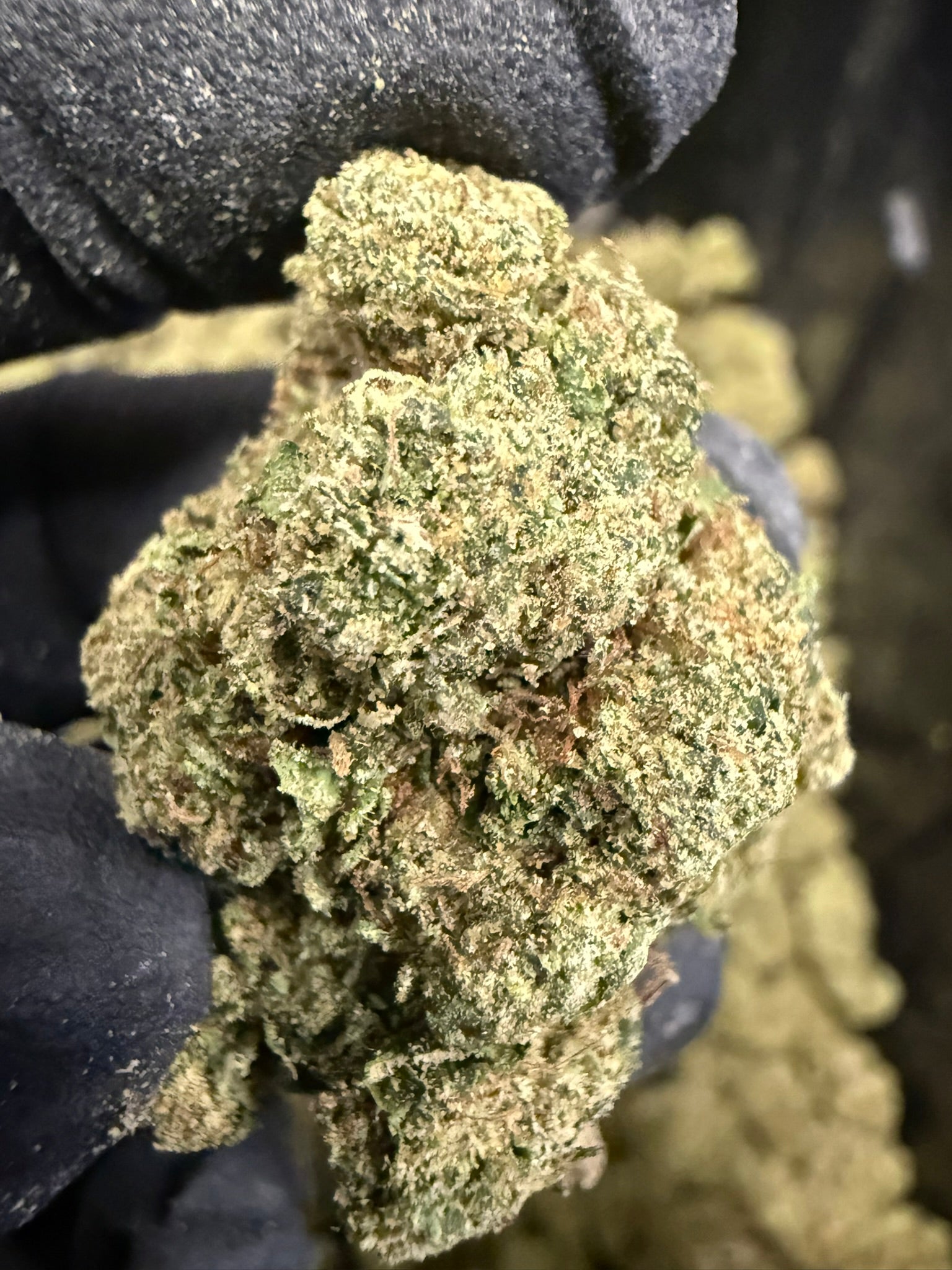 Lip Smackerz - Damn Good | Legal Cannabis