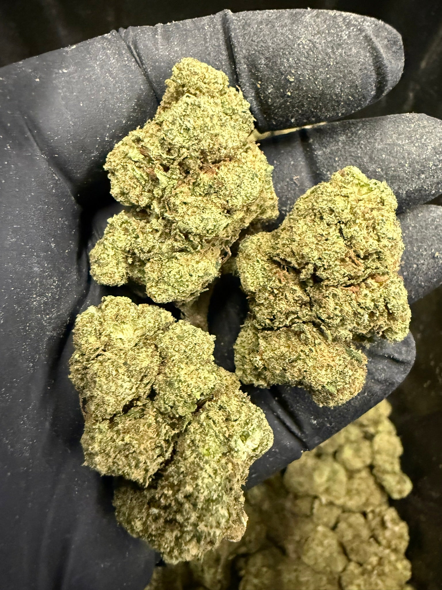 Lip Smackerz - Damn Good | Legal Cannabis