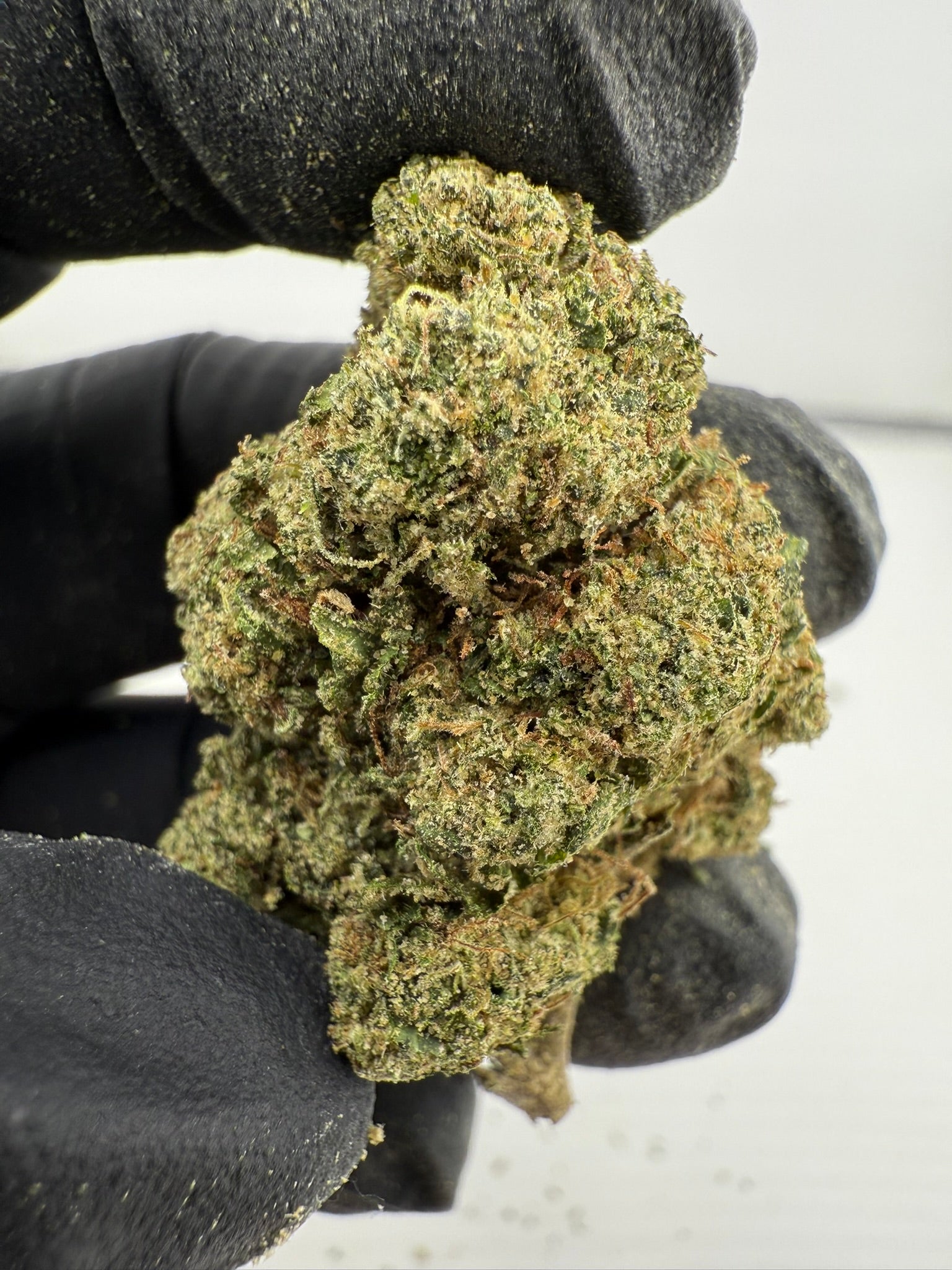 Lip Smackerz - Damn Good | Legal Cannabis