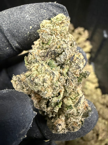 Gas Face - Damn Good | Legal Cannabis