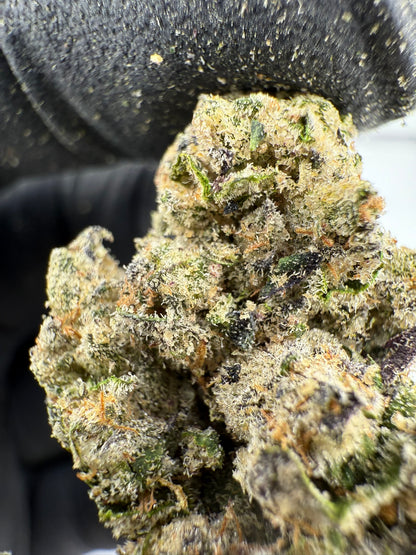 Gas Face - Damn Good | Legal Cannabis