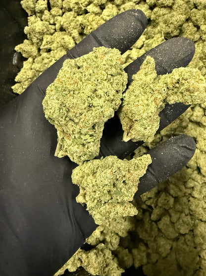 Amnesia Lemon - Damn Good | Legal Cannabis