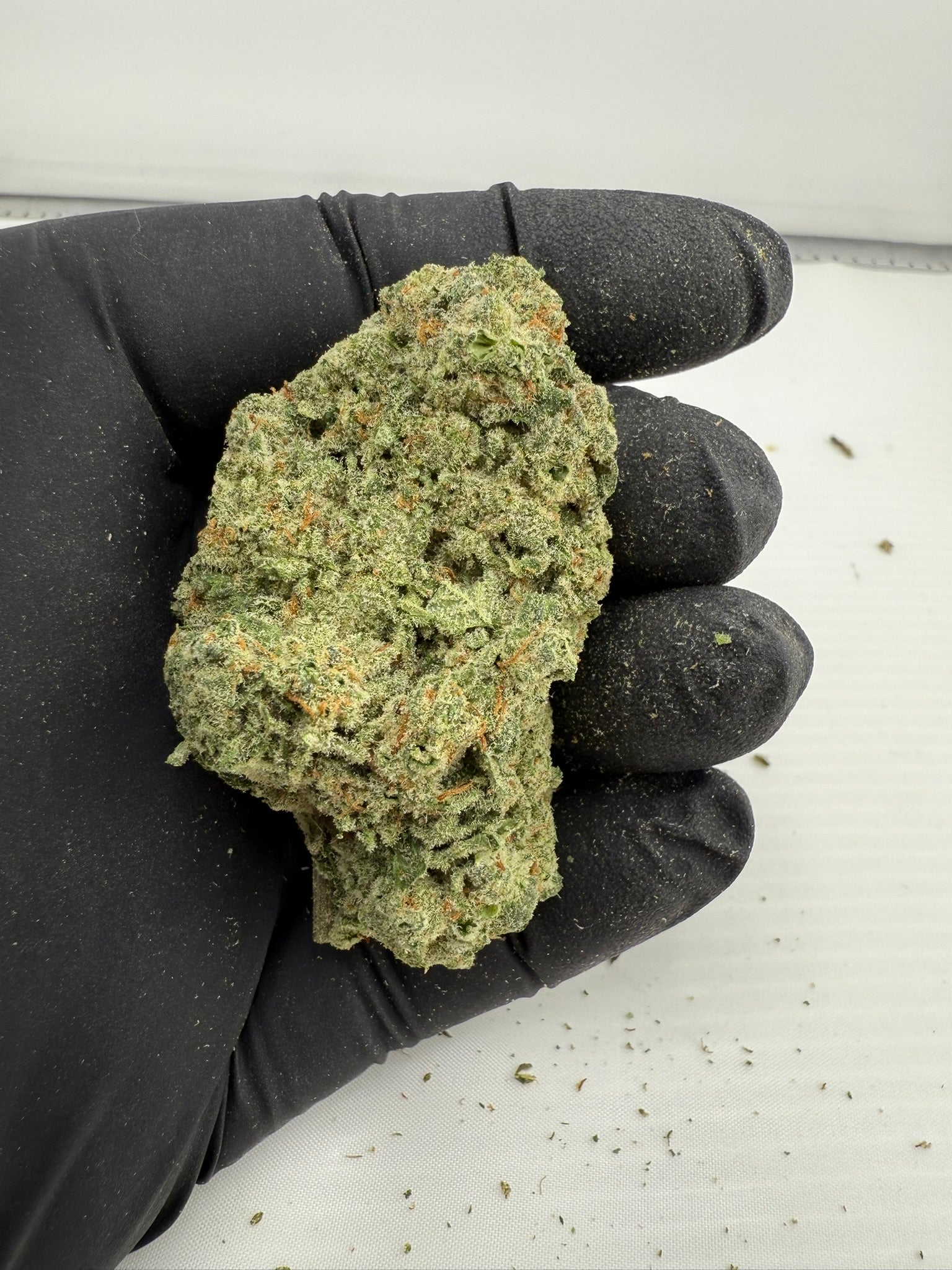 Amnesia Lemon - Damn Good | Legal Cannabis