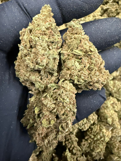 Froot By The Foot - Damn Good | Legal Cannabis