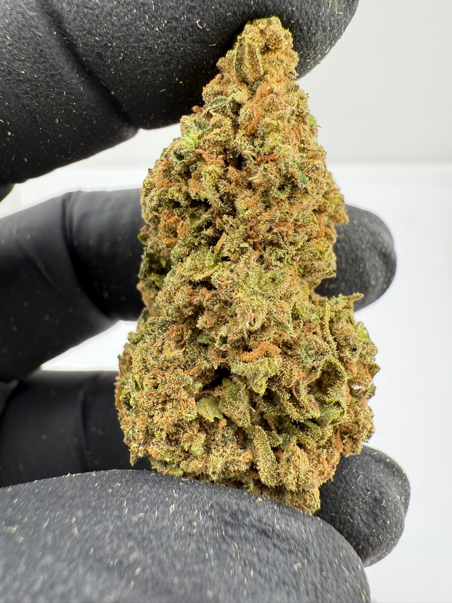 Froot By The Foot - Damn Good | Legal Cannabis