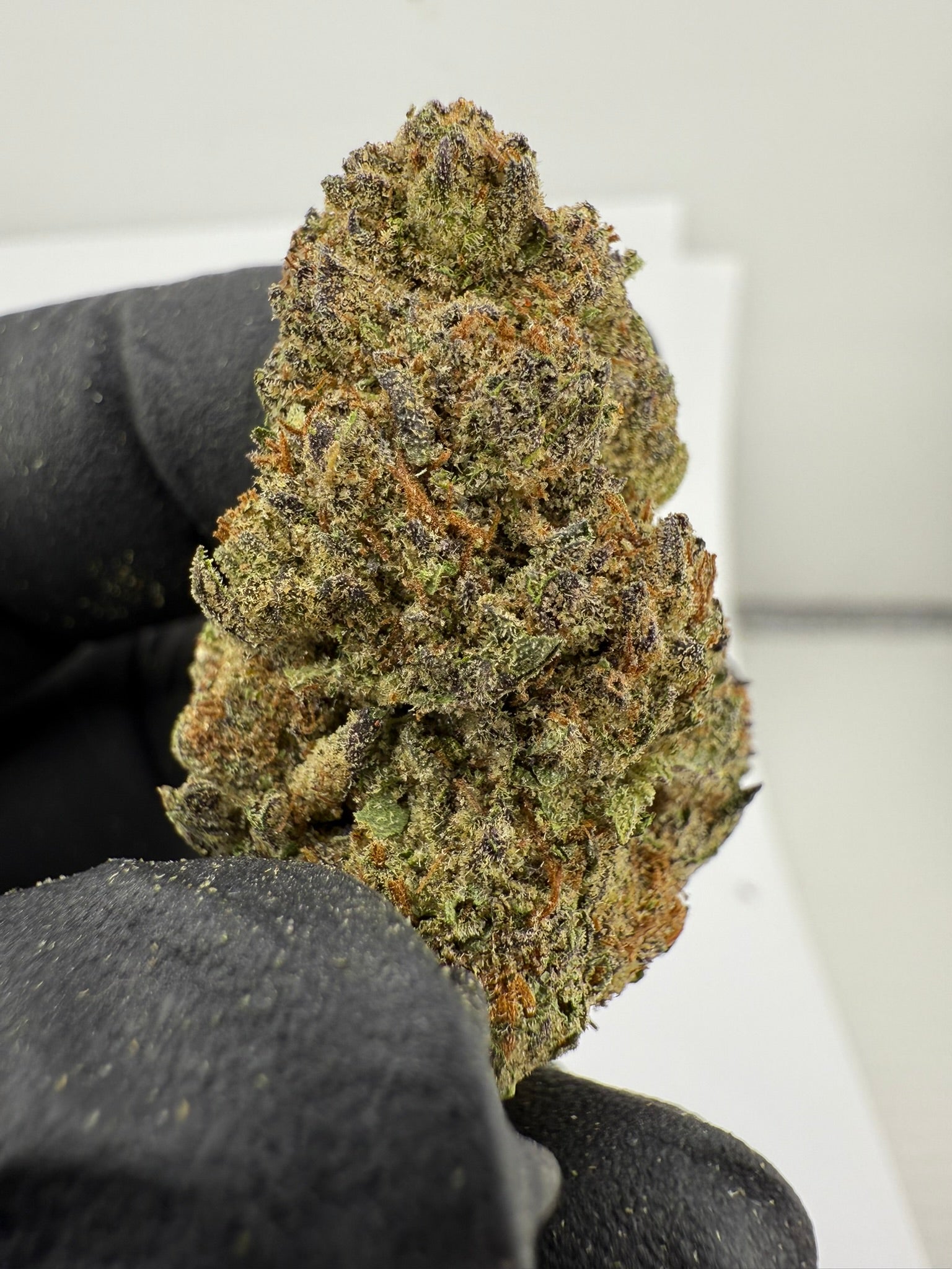 Cookies & Cream - Damn Good | Legal Cannabis