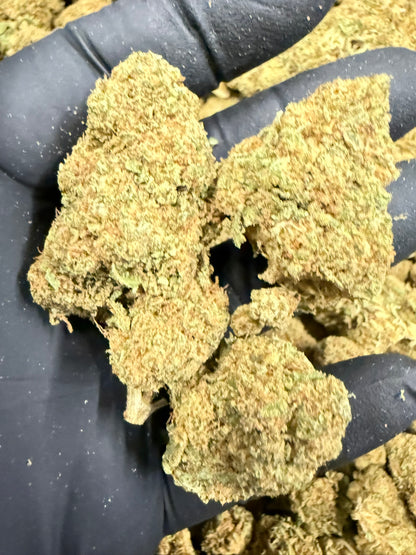 GMO - Damn Good | Legal Cannabis