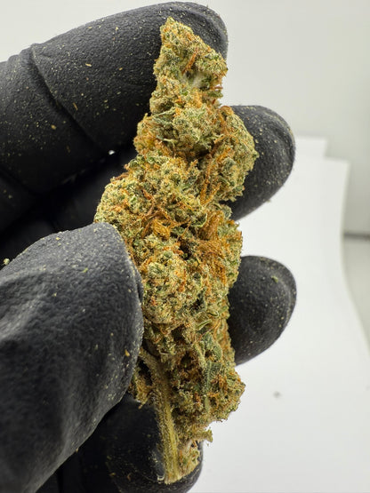 GG4 - Damn Good | Legal Cannabis