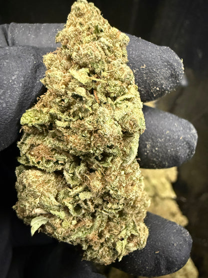 Animal Tsunami - Damn Good | Legal Cannabis