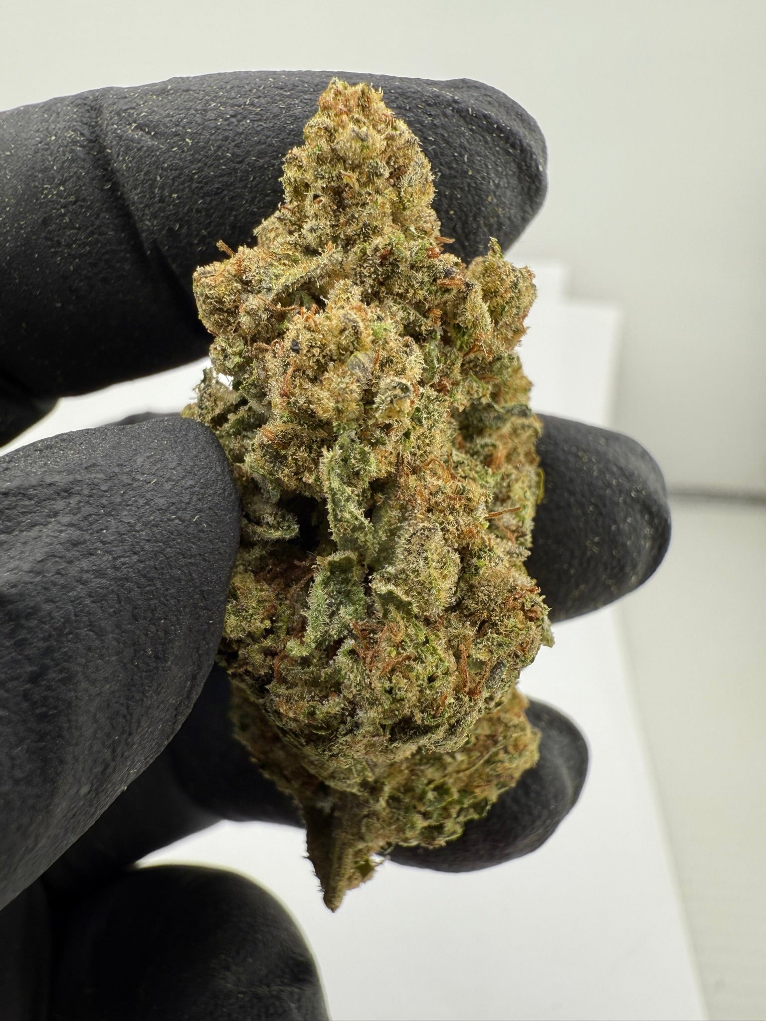 Mac - Damn Good | Legal Cannabis