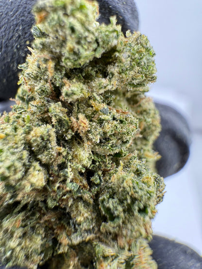 Poison Gushers Smalls