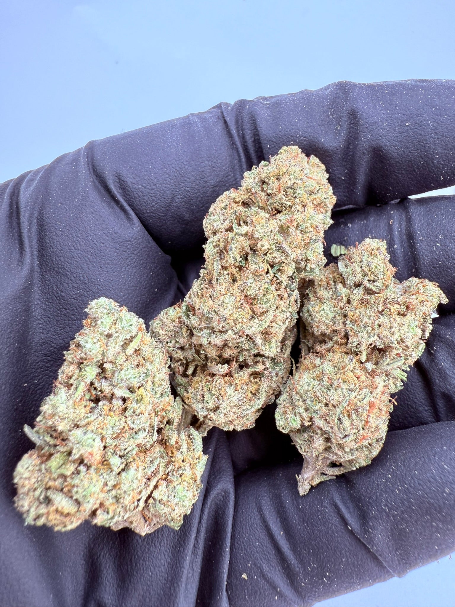 Blackberry Moonshine - Damn Good | Legal Cannabis