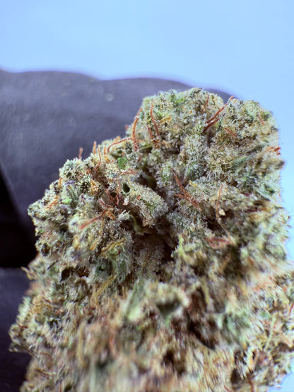 Blackberry Moonshine - Damn Good | Legal Cannabis