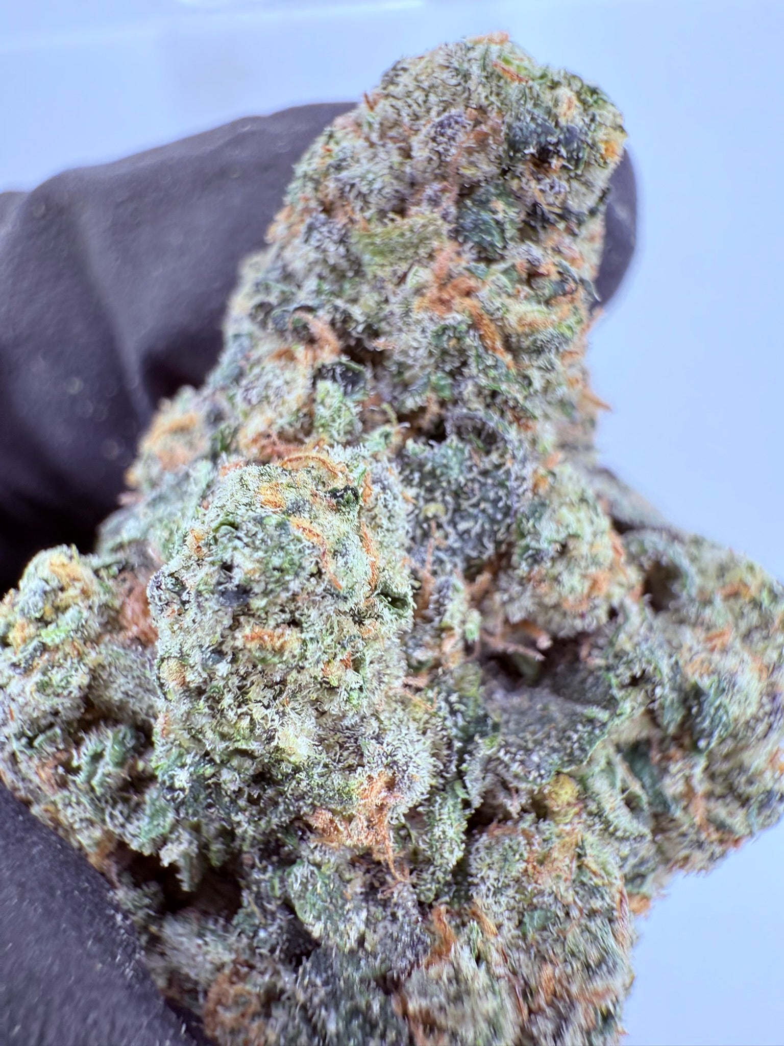 E-85 - Damn Good | Legal Cannabis