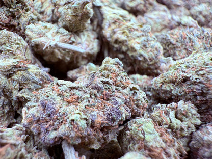 ZaZa Runtz - Damn Good | Legal Cannabis