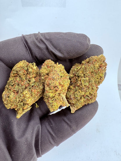 ZaZa Runtz - Damn Good | Legal Cannabis