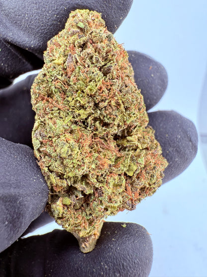 ZaZa Runtz - Damn Good | Legal Cannabis