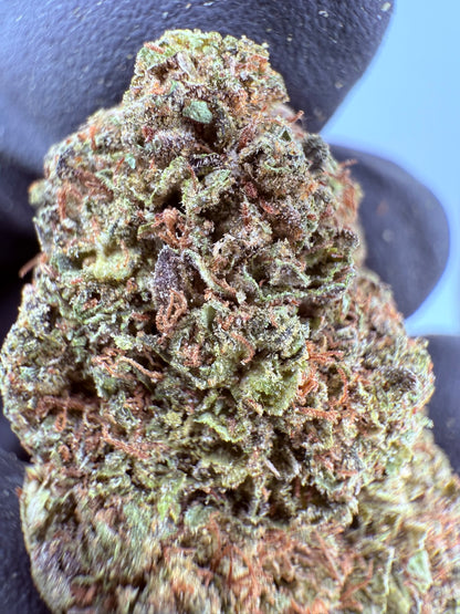 ZaZa Runtz - Damn Good | Legal Cannabis