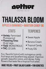 Thalassa Bloom - Damn Good | Legal Cannabis
