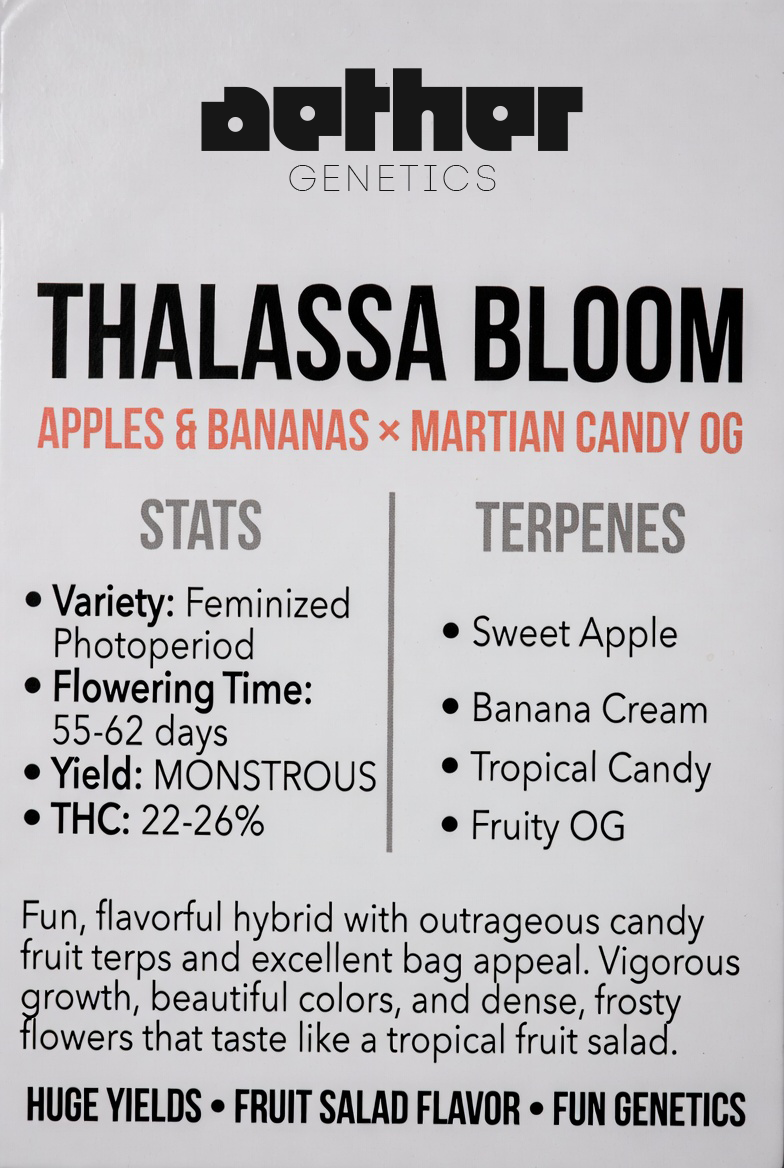 Thalassa Bloom - Damn Good | Legal Cannabis
