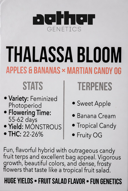 Thalassa Bloom - Damn Good | Legal Cannabis