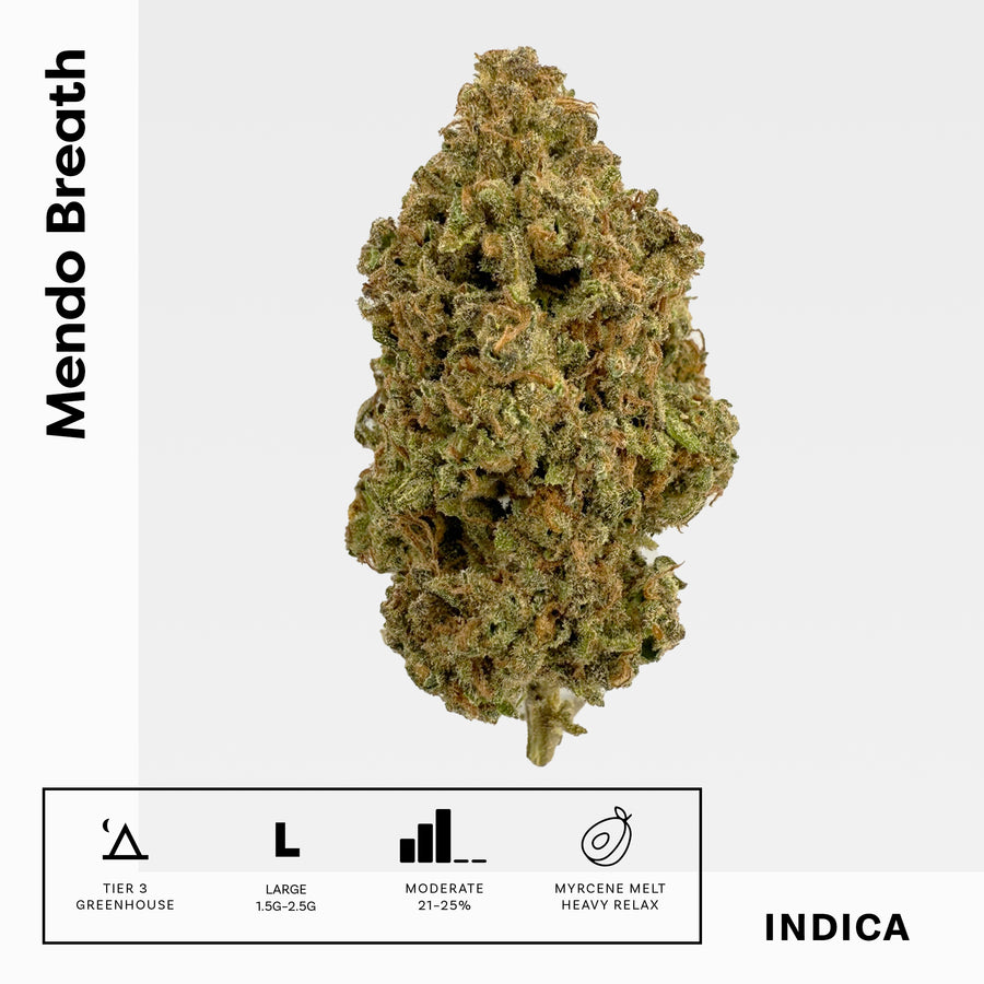 Mendo Breath