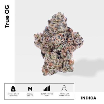 Grape Pie x Blueberry - Damn Good | Legal Cannabis