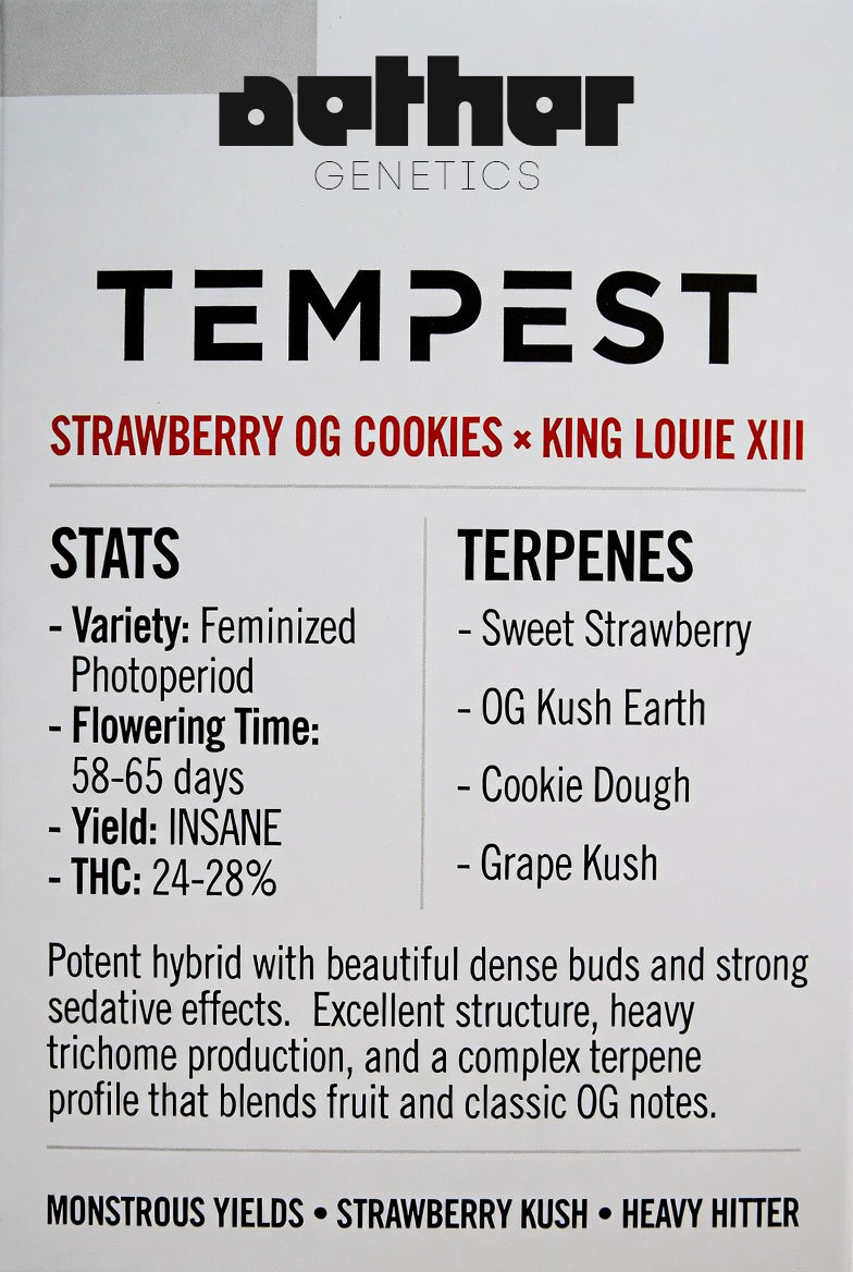Tempest - Damn Good | Legal Cannabis