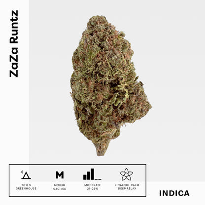 ZaZa Runtz - Damn Good | Legal Cannabis