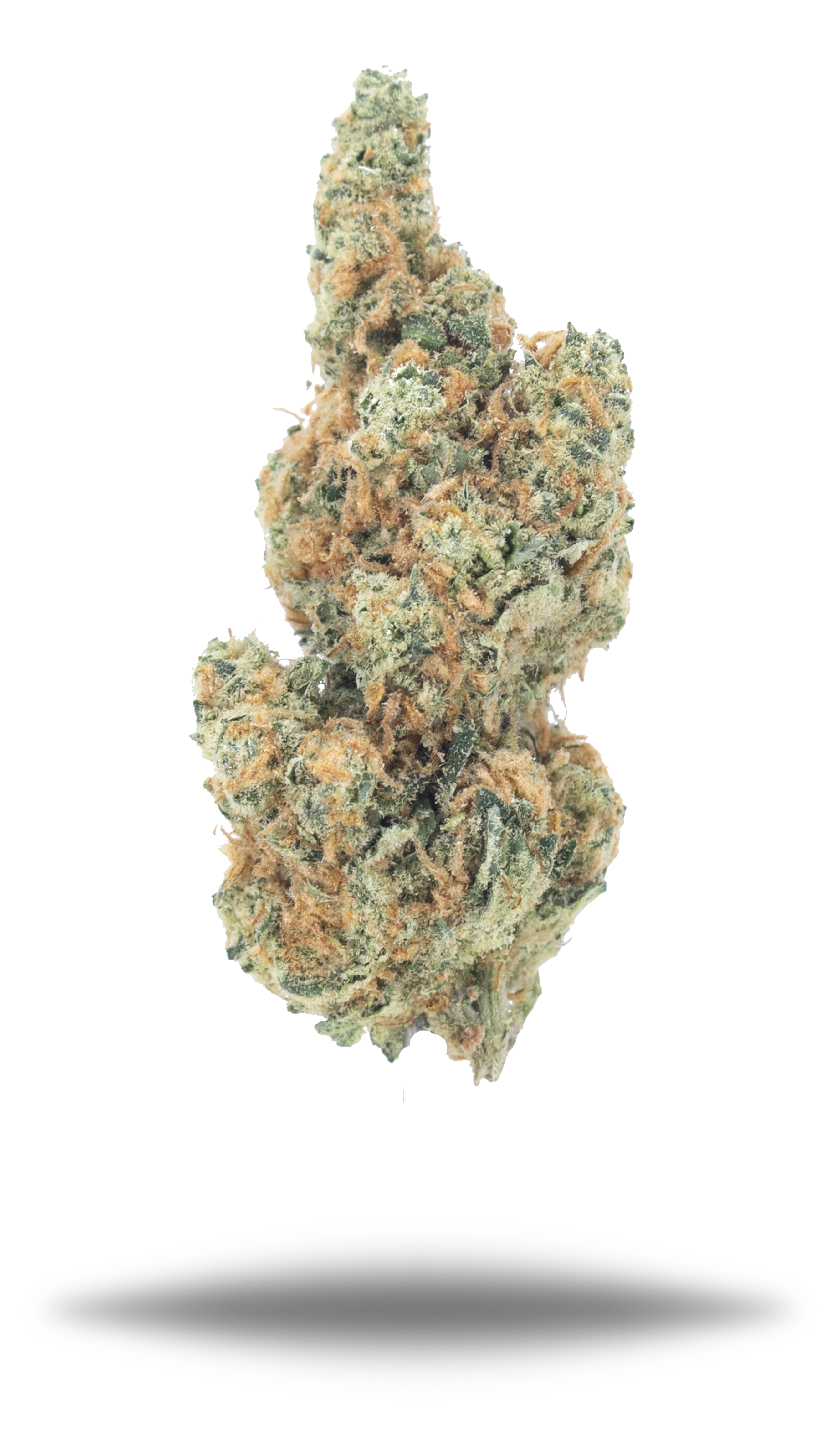 Apricot OG - Damn Good | Legal Cannabis