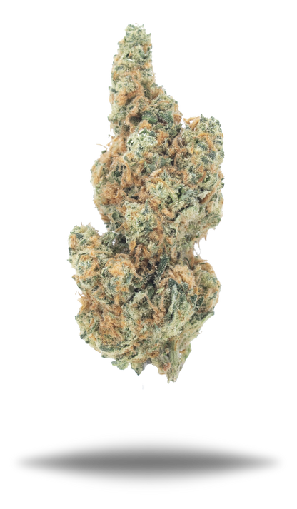 Apricot OG - Damn Good | Legal Cannabis