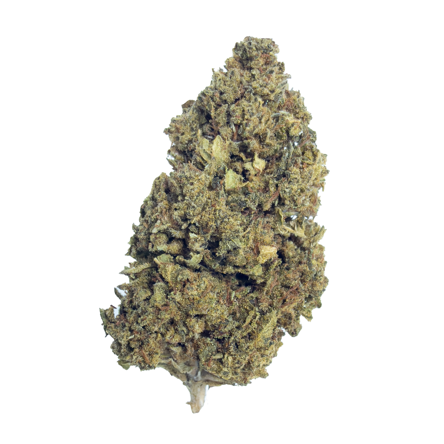 Banana Punch - Damn Good | Legal Cannabis