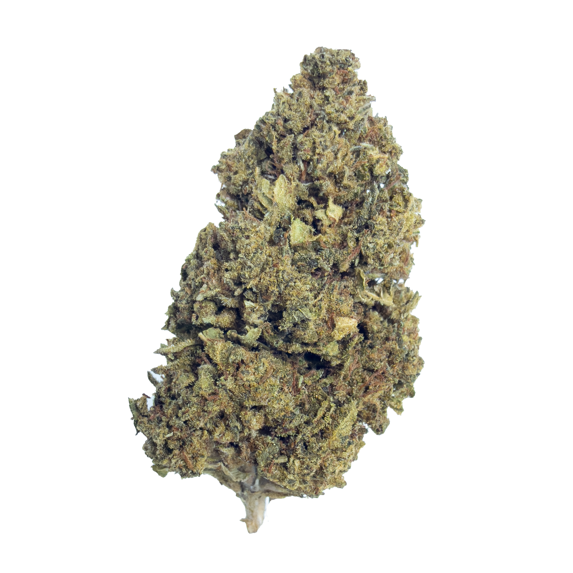 Banana Punch - Damn Good | Legal Cannabis