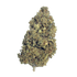 Banana Punch - Damn Good | Legal Cannabis