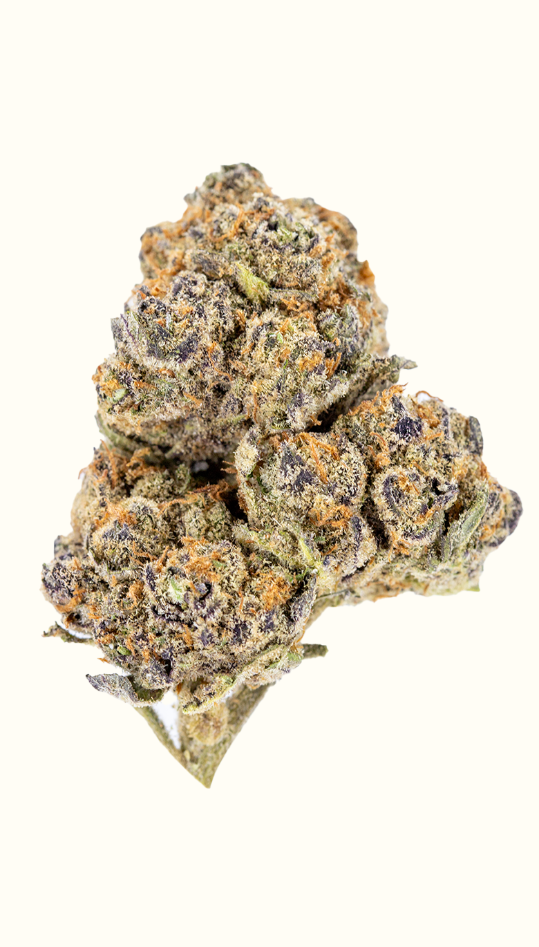 Blueberry Pancake - Damn Good | Legal Cannabis