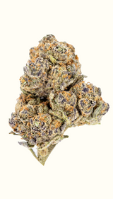 Blueberry Pancake - Damn Good | Legal Cannabis