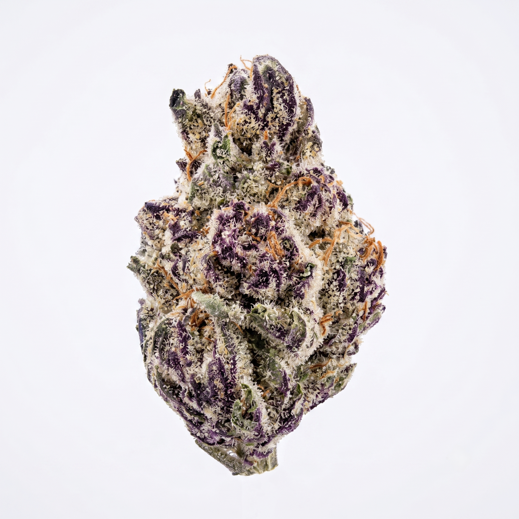 Blueberry Sherb