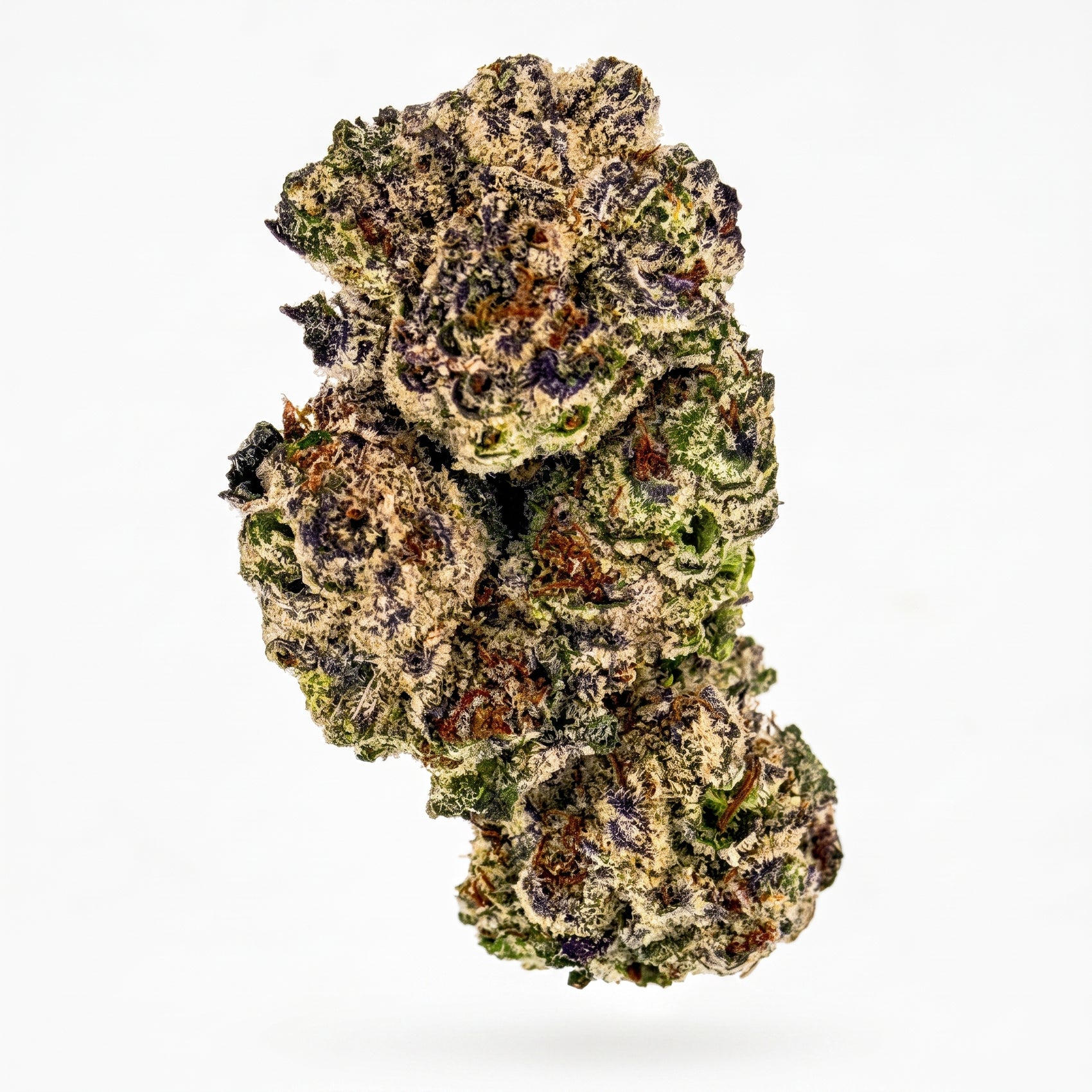 Black Truffle