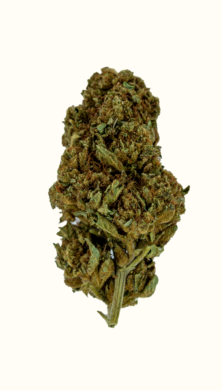 Blue Mamba - Damn Good | Legal Cannabis