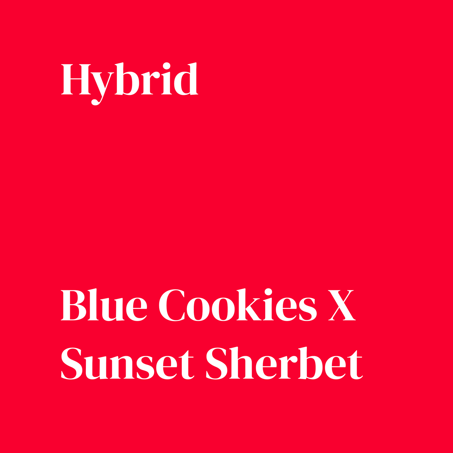 Blueberry Sherb