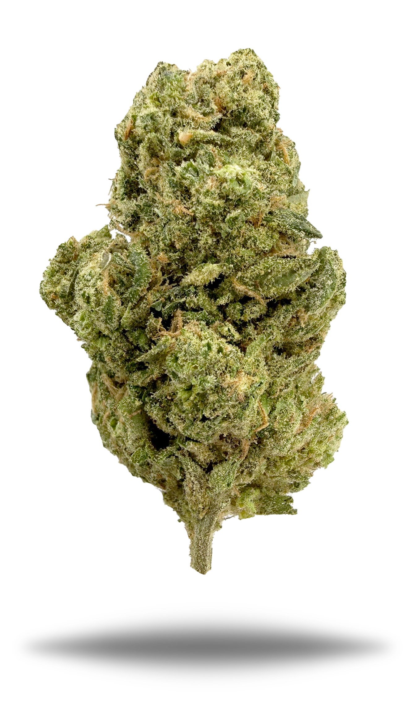 Blue Dream - Damn Good | Legal Cannabis