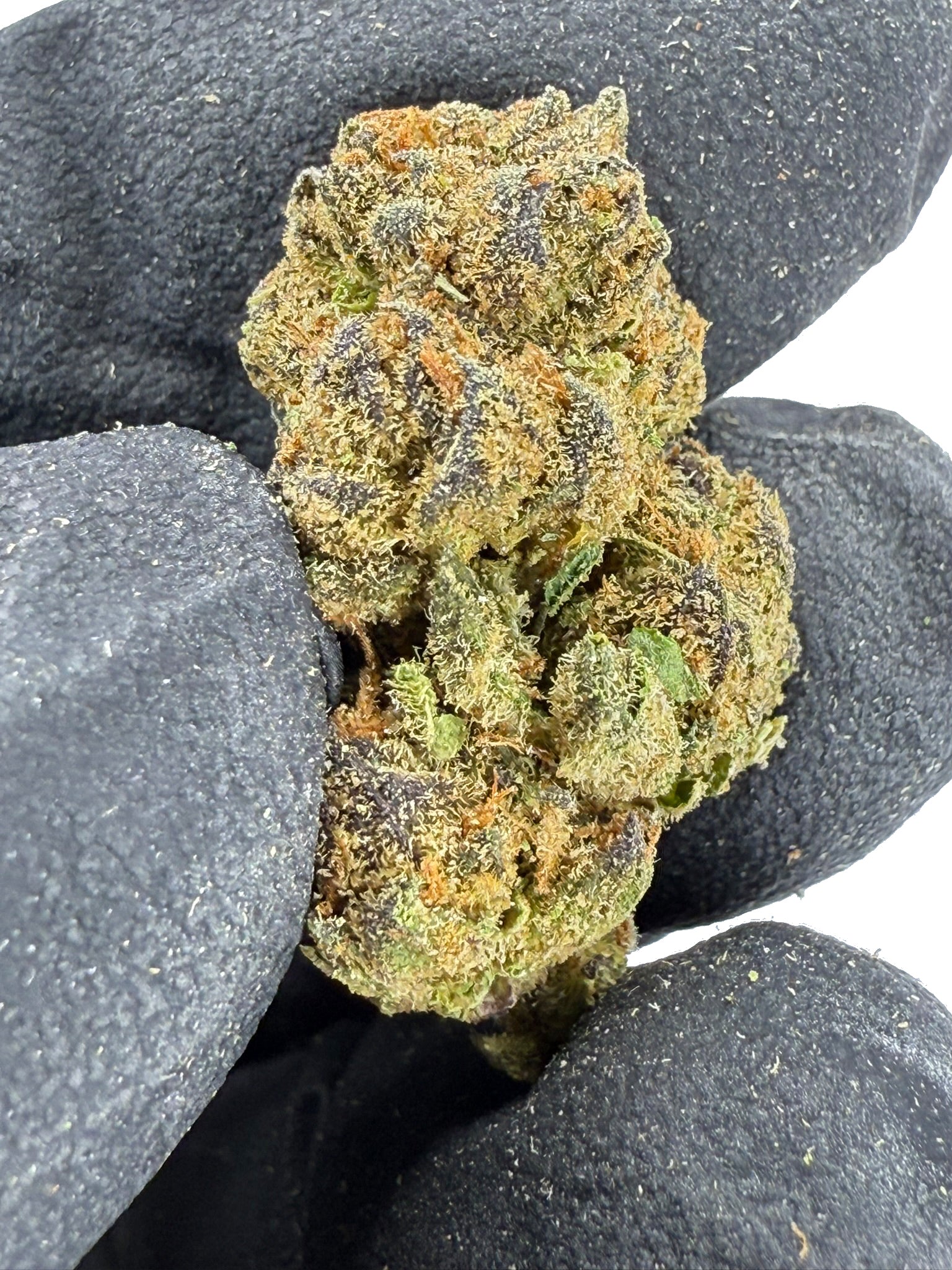 Blue Nerdz Smalls - Damn Good | Legal Cannabis