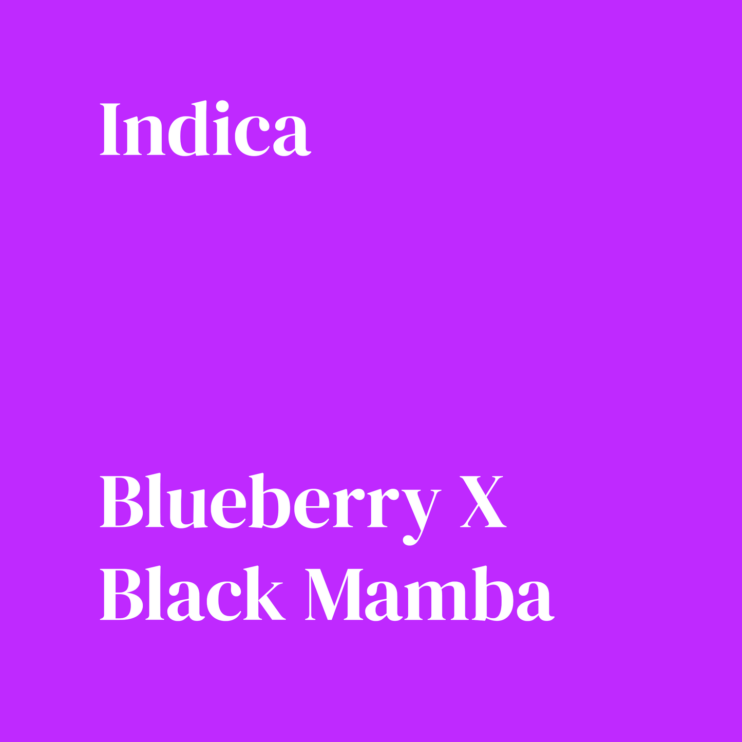 Blue Mamba - Damn Good | Legal Cannabis