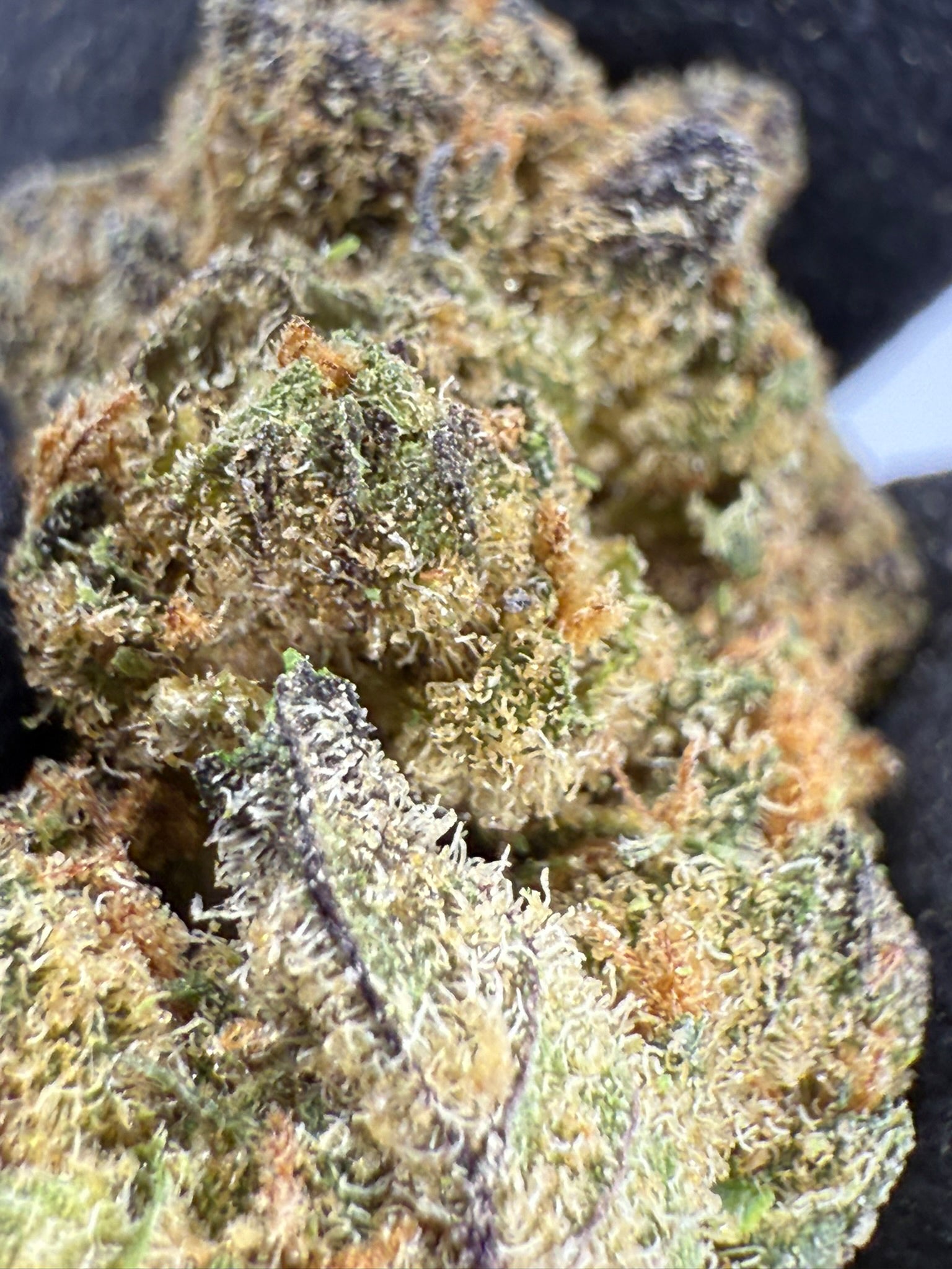 Blue Nerdz Smalls - Damn Good | Legal Cannabis