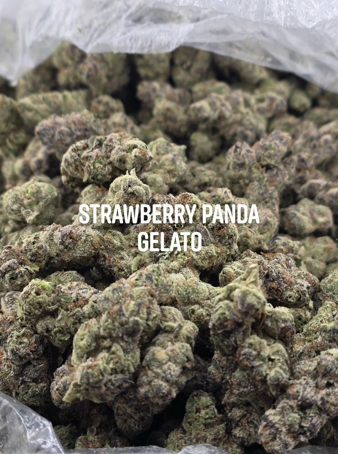 Strawberry Panda Gelato