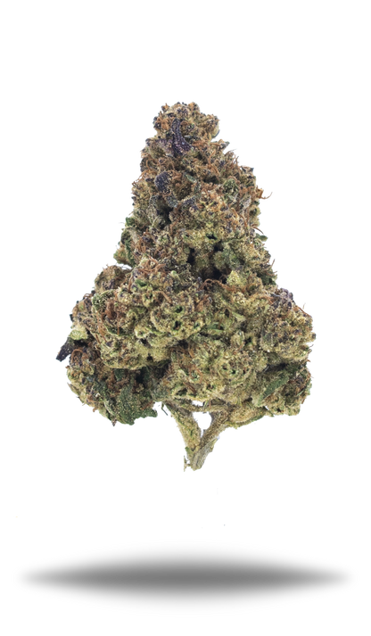 Candy Punch - Damn Good | Legal Cannabis