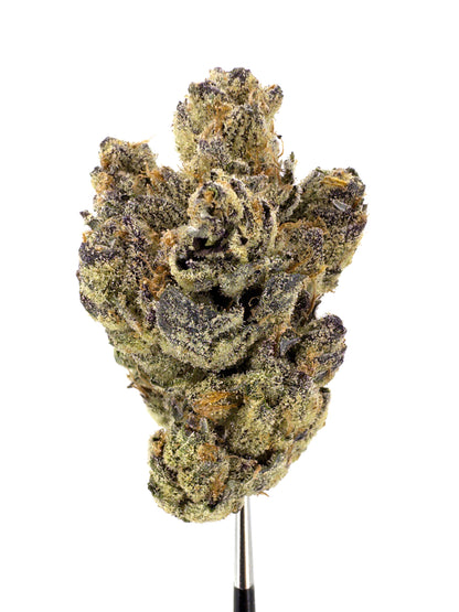 Devil's Driver - Damn Good | Legal Cannabis